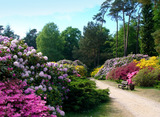 Ferienwohnung in Graal-Müritz - Am Rhododendronpark - Bild 13