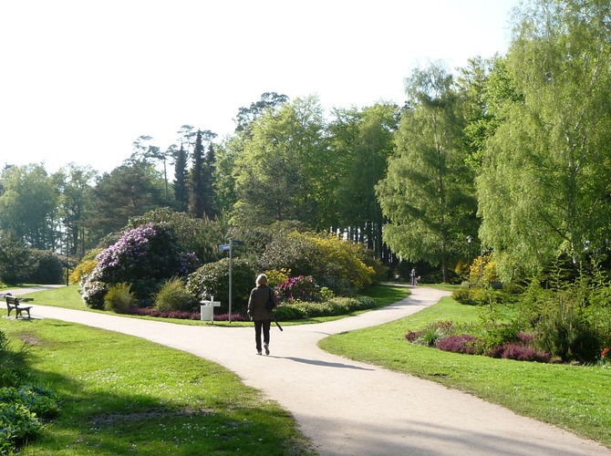 Ferienwohnung in Graal-Müritz - Am Rhododendronpark - Bild 14